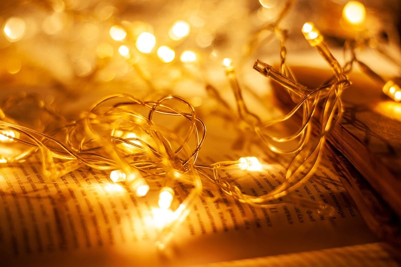 Fairy Lights in Garden